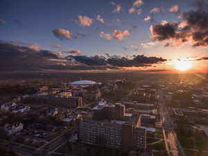 Tracy Tillapaugh, assistant director of counseling at Syracuse University Career Services, said deciding to leave early is personal. 