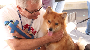 Ten local animal shelters, including Wanderers' Rest Humane Association and DGI Paws, brought pets up for adoption.